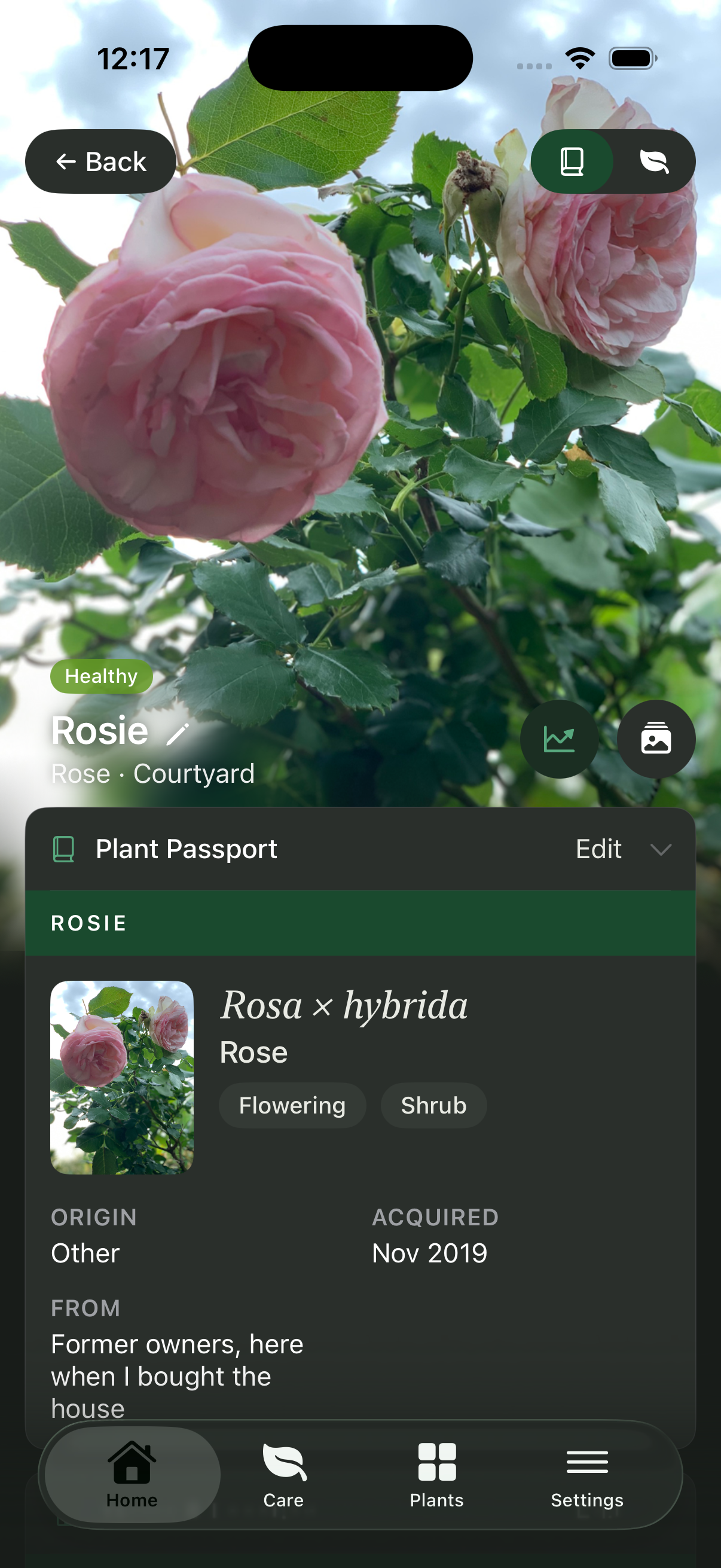Liana in Dark Mode showing the Plant Passport for Rosie, a rose growing in the courtyard