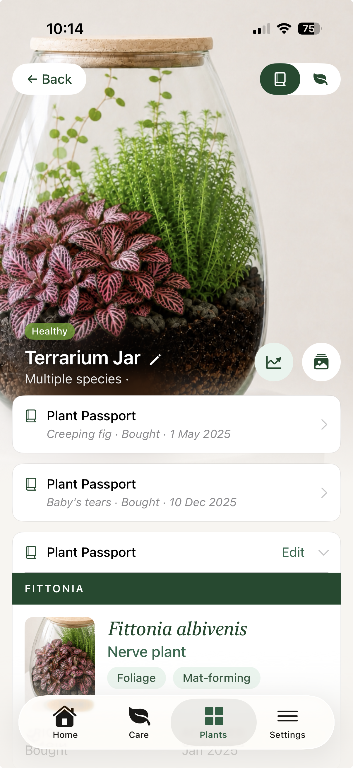 Liana showing a Terrarium Jar with four plants, each with an individual Plant Passport