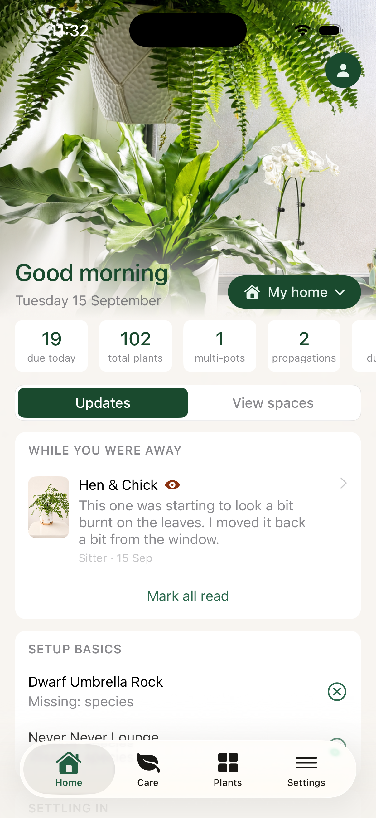 Liana home screen showing a plant sitter's update waiting for the owner