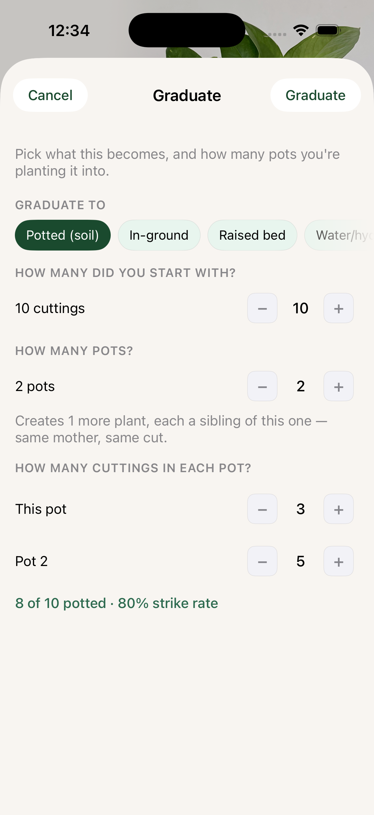 Liana graduation screen for allocating cuttings into pots or other growing setups