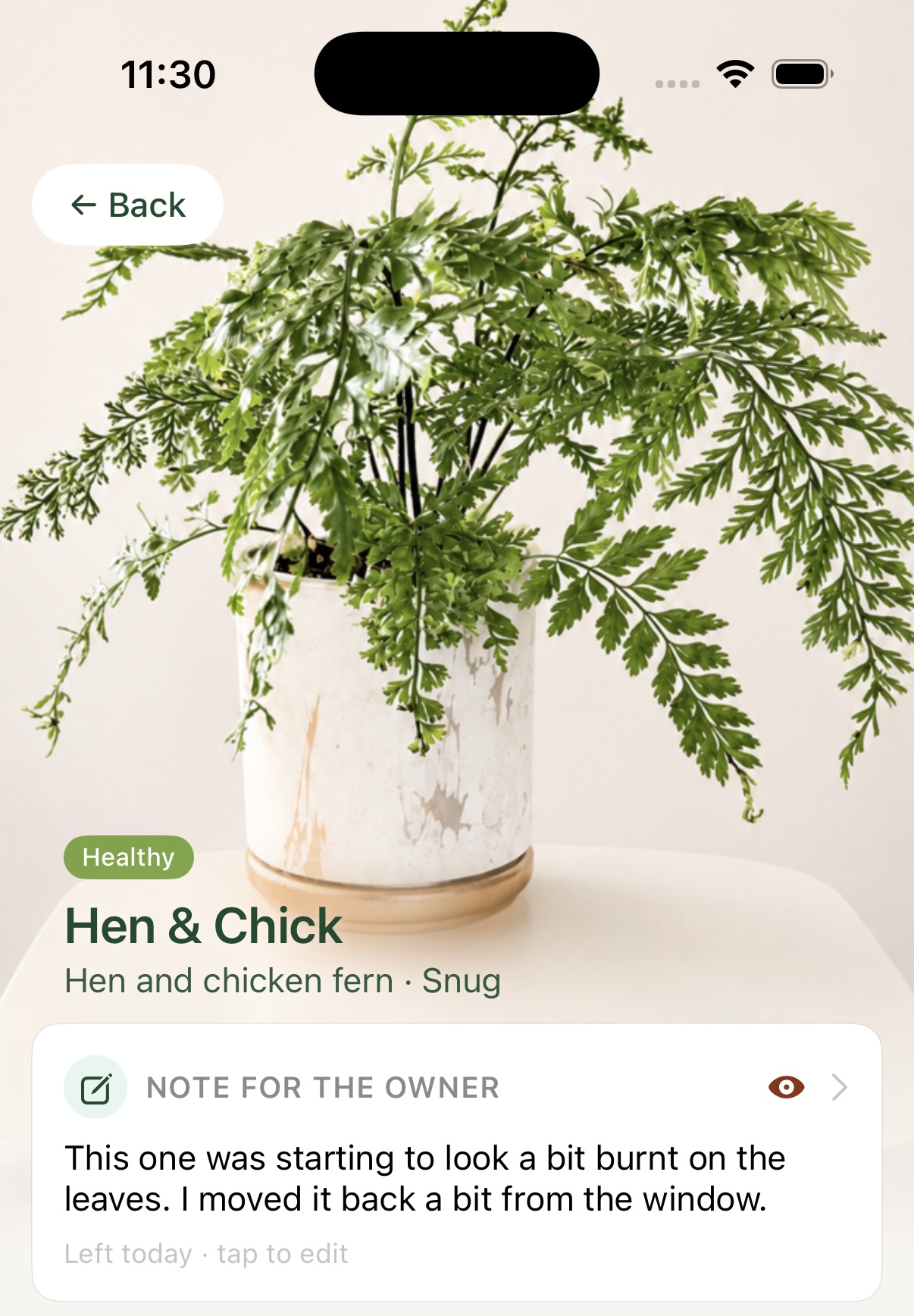 Liana plant profile where a sitter has left a note about moving a Hen and Chick fern away from direct sun