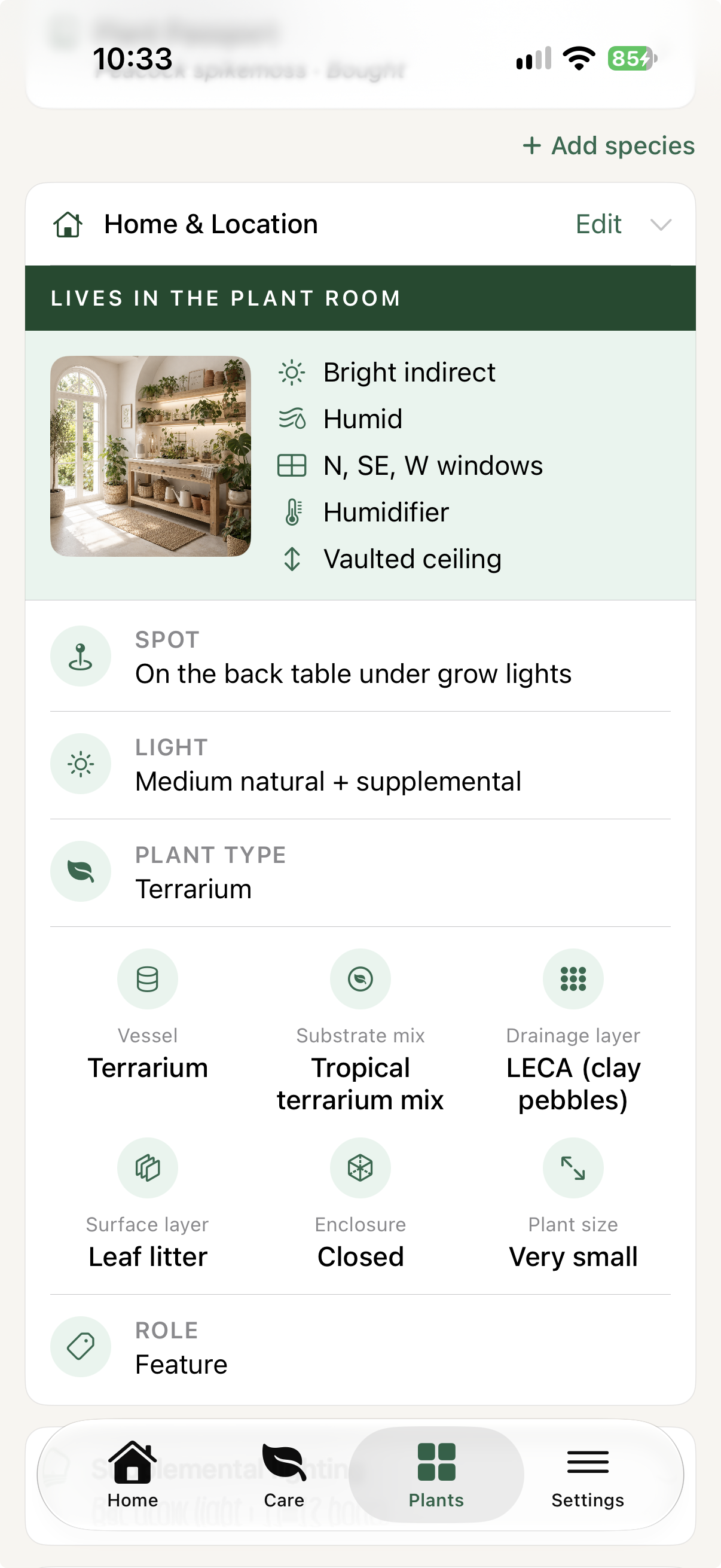 Liana plant profile showing a closed terrarium with its vessel, tropical terrarium mix, LECA drainage layer, leaf-litter surface layer and enclosure recorded